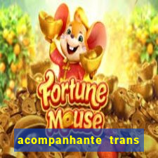 acompanhante trans de santos